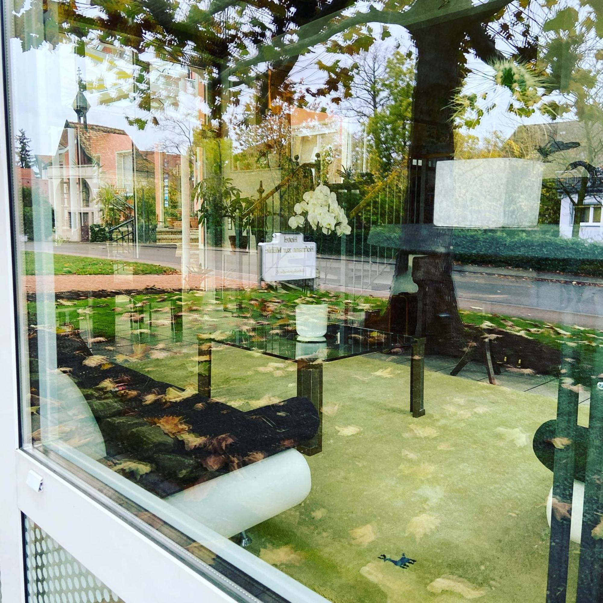 Hotel Hofmann Zur Muehle Bad Krozingen Exteriér fotografie